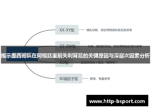 揭示墨西哥队在阿根廷面前失利背后的关键原因与深层次因素分析