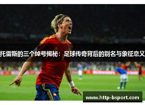 托雷斯的三个绰号揭秘：足球传奇背后的别名与象征意义