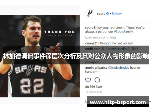 林加德调侃事件深层次分析及其对公众人物形象的影响