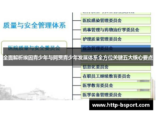 全面解析埃因青少年与阿贾青少年发展体系全方位关键五大核心要点